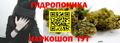 apvp Рузаевка