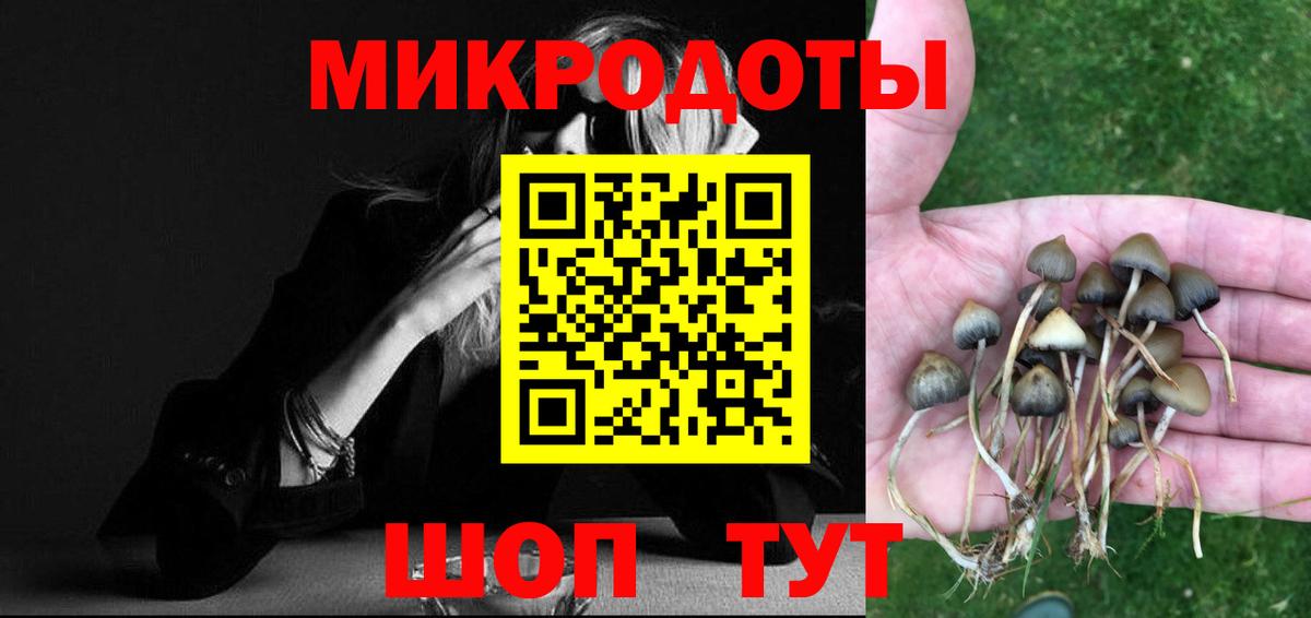 магазин продажи   Галлюциногенные грибы MAGIC MUSHROOMS  Вход с VPN  Отрадное 