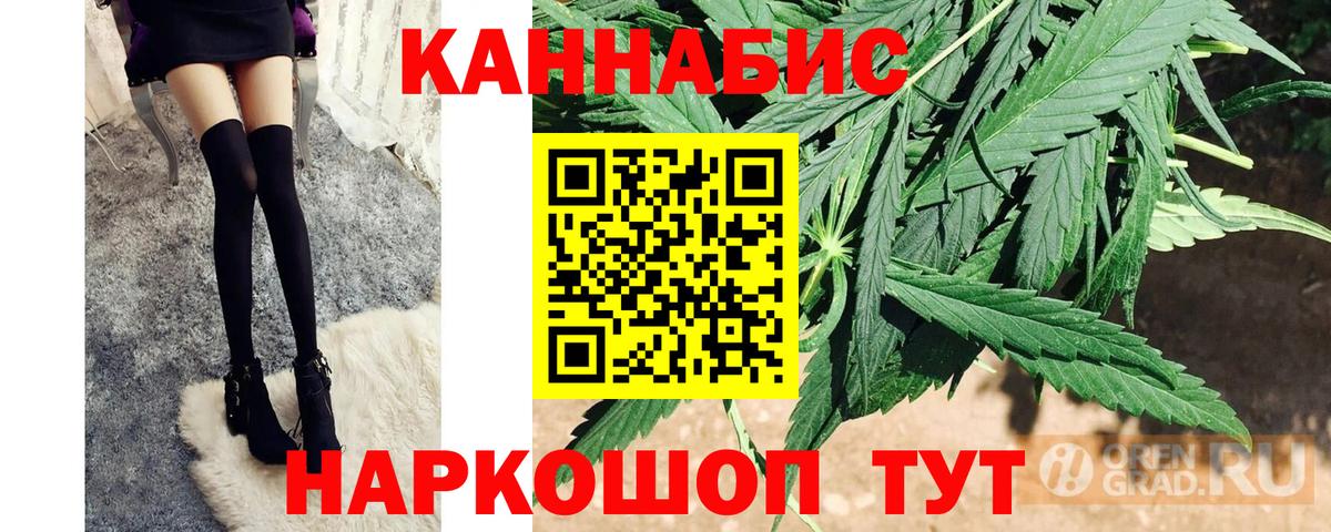 Конопля индика Отрадное